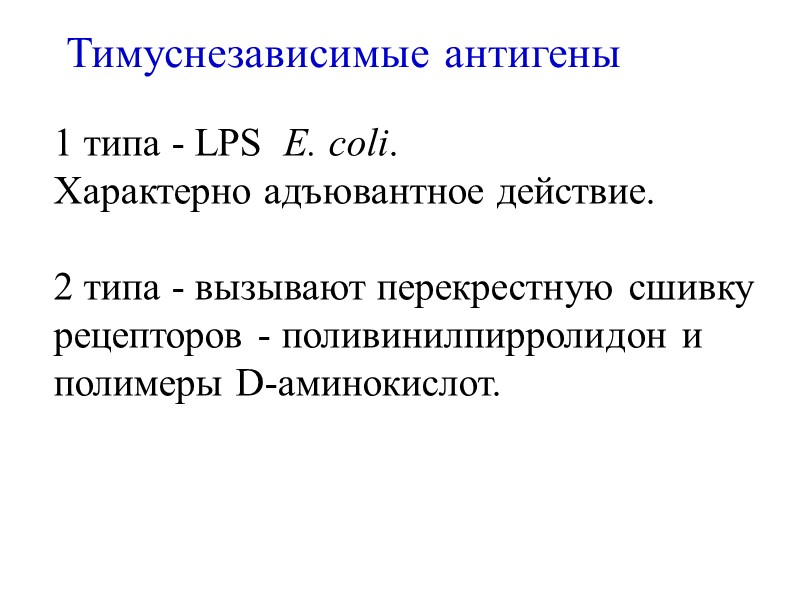 Тимуснезависимые антигены 1 типа - LPS  E. coli.   Характерно адъювантное действие.